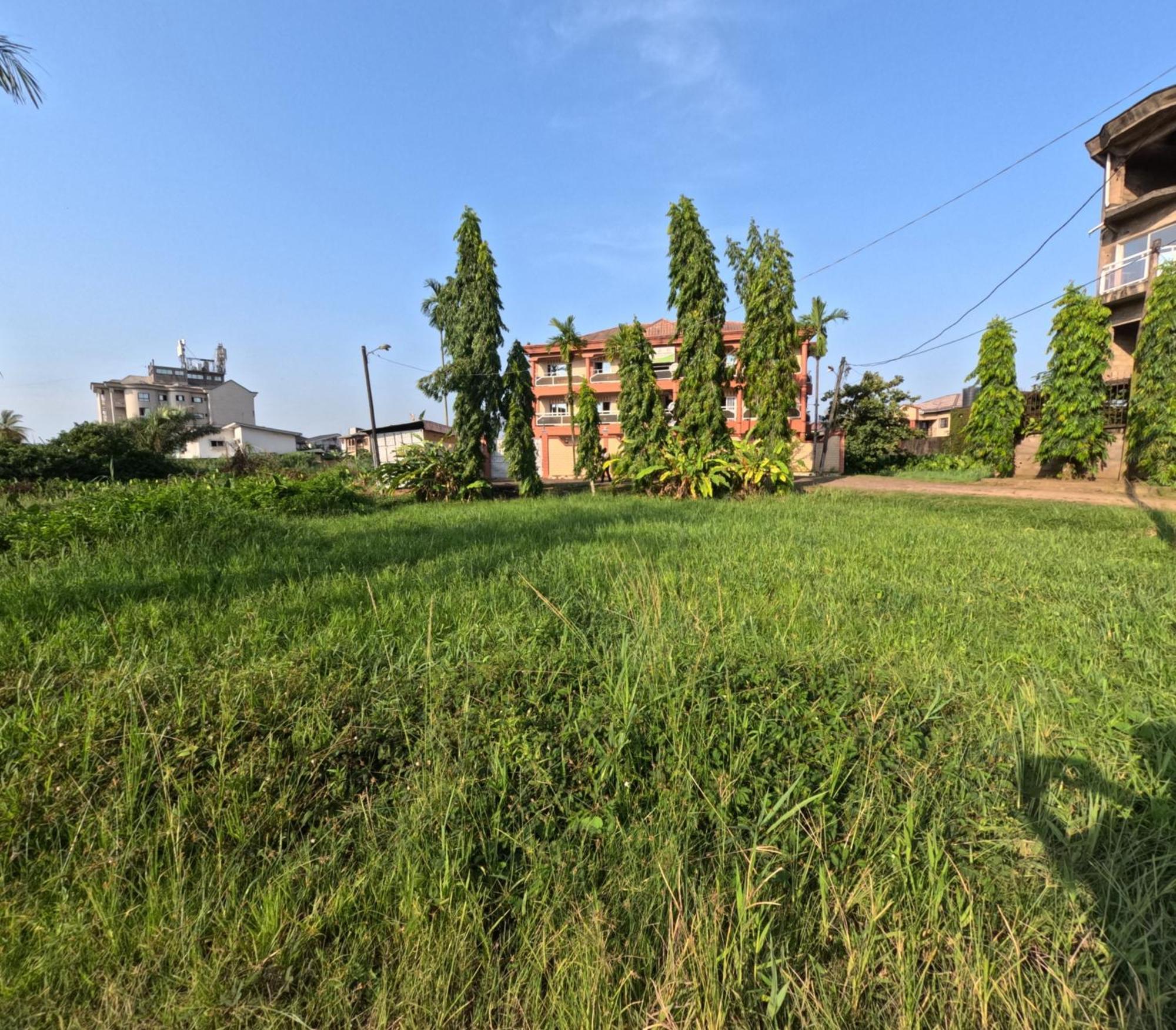 Residence Hoteliere Borel Denver Дуала Екстер'єр фото